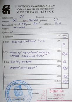 r1.JPG