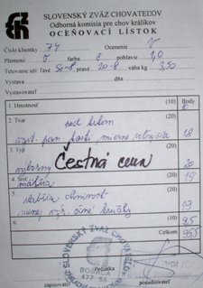 r2.JPG