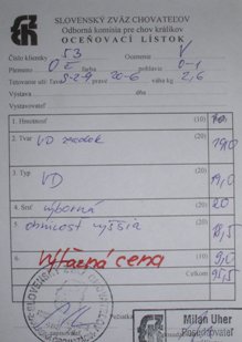 r5.JPG