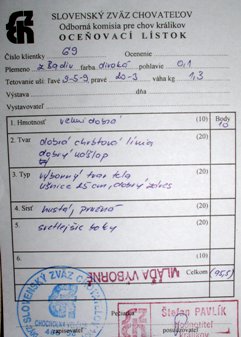 r7.JPG