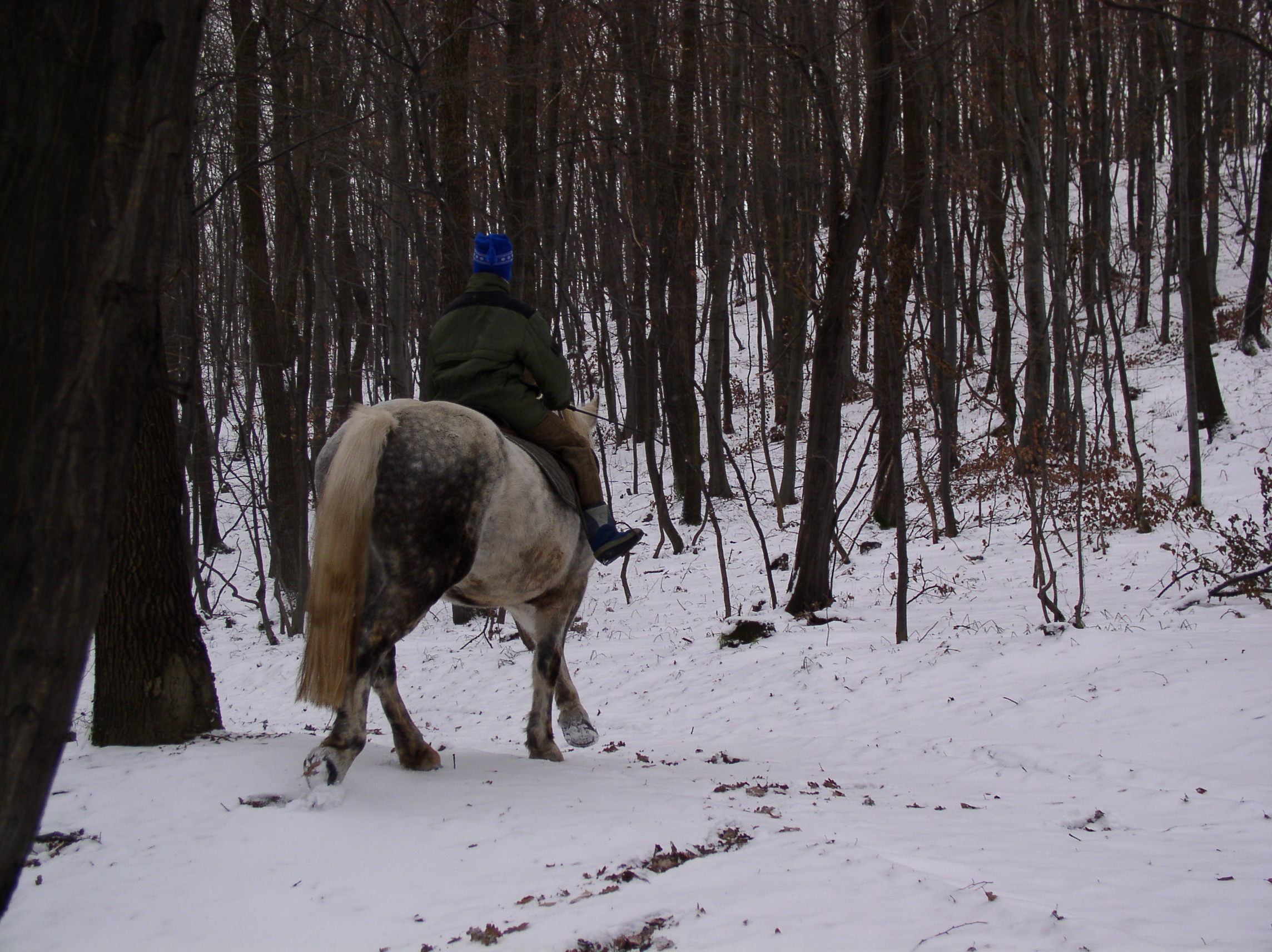 P1010127.JPG