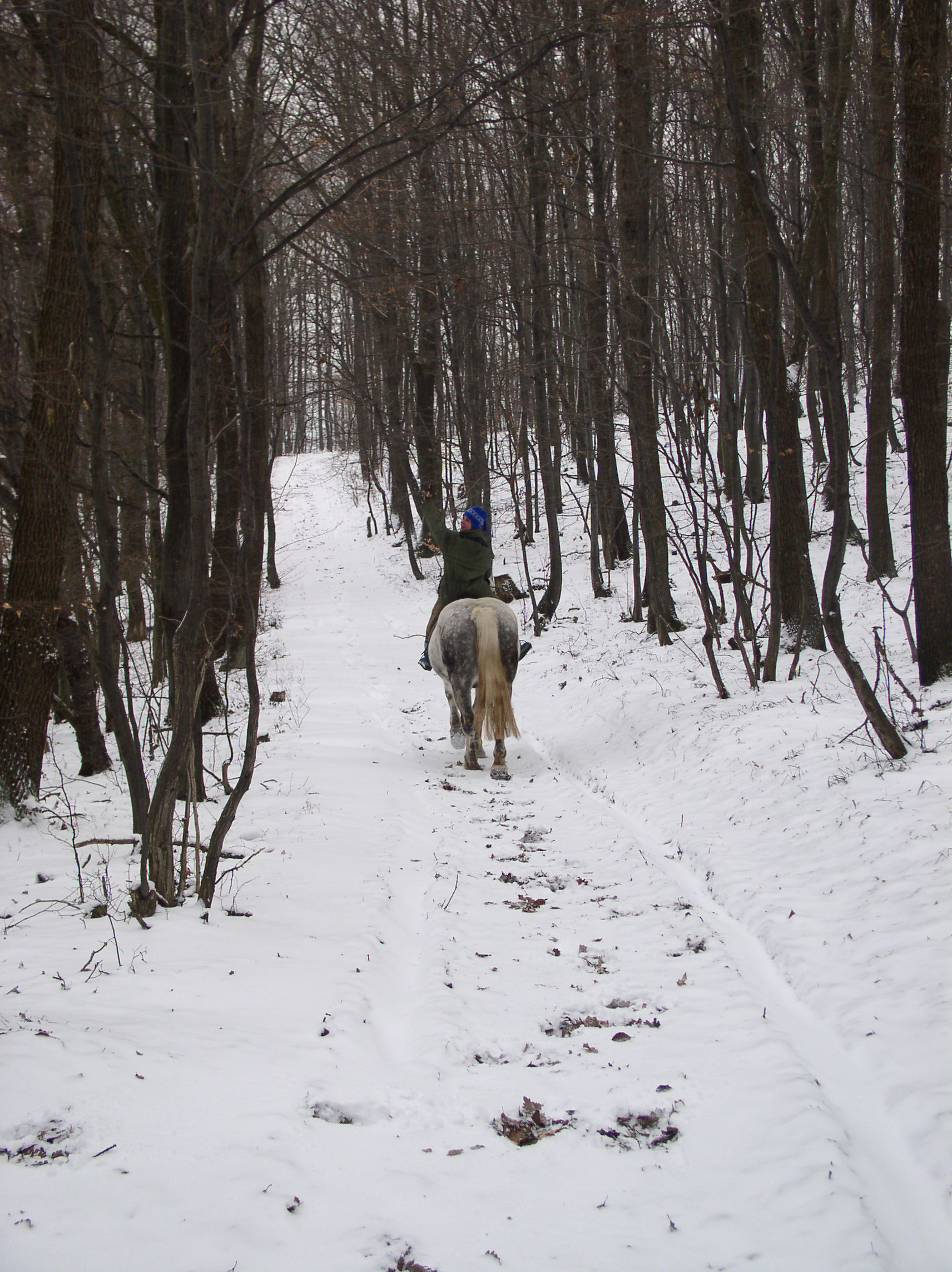 P1010128.JPG