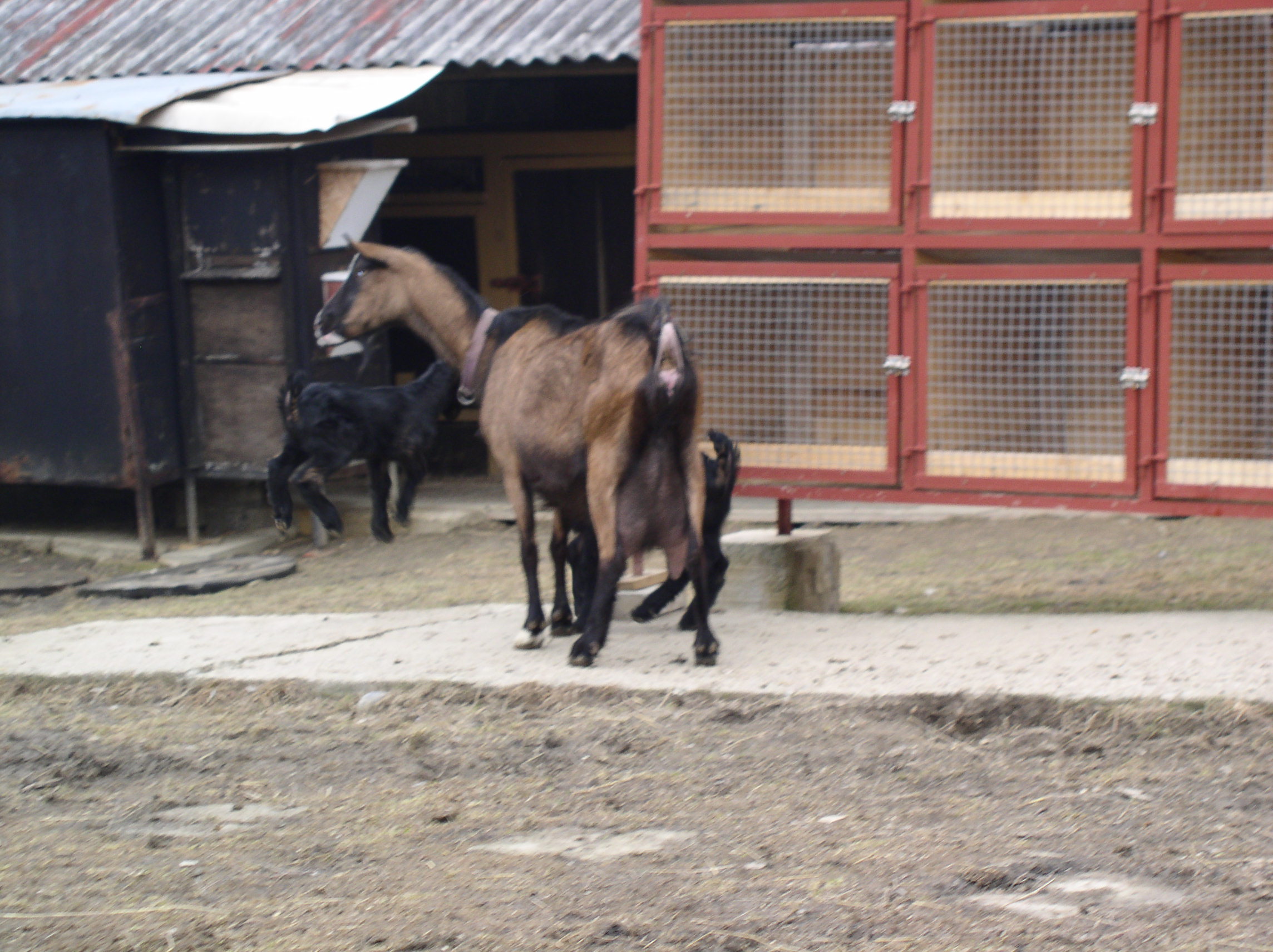 P1010014.JPG