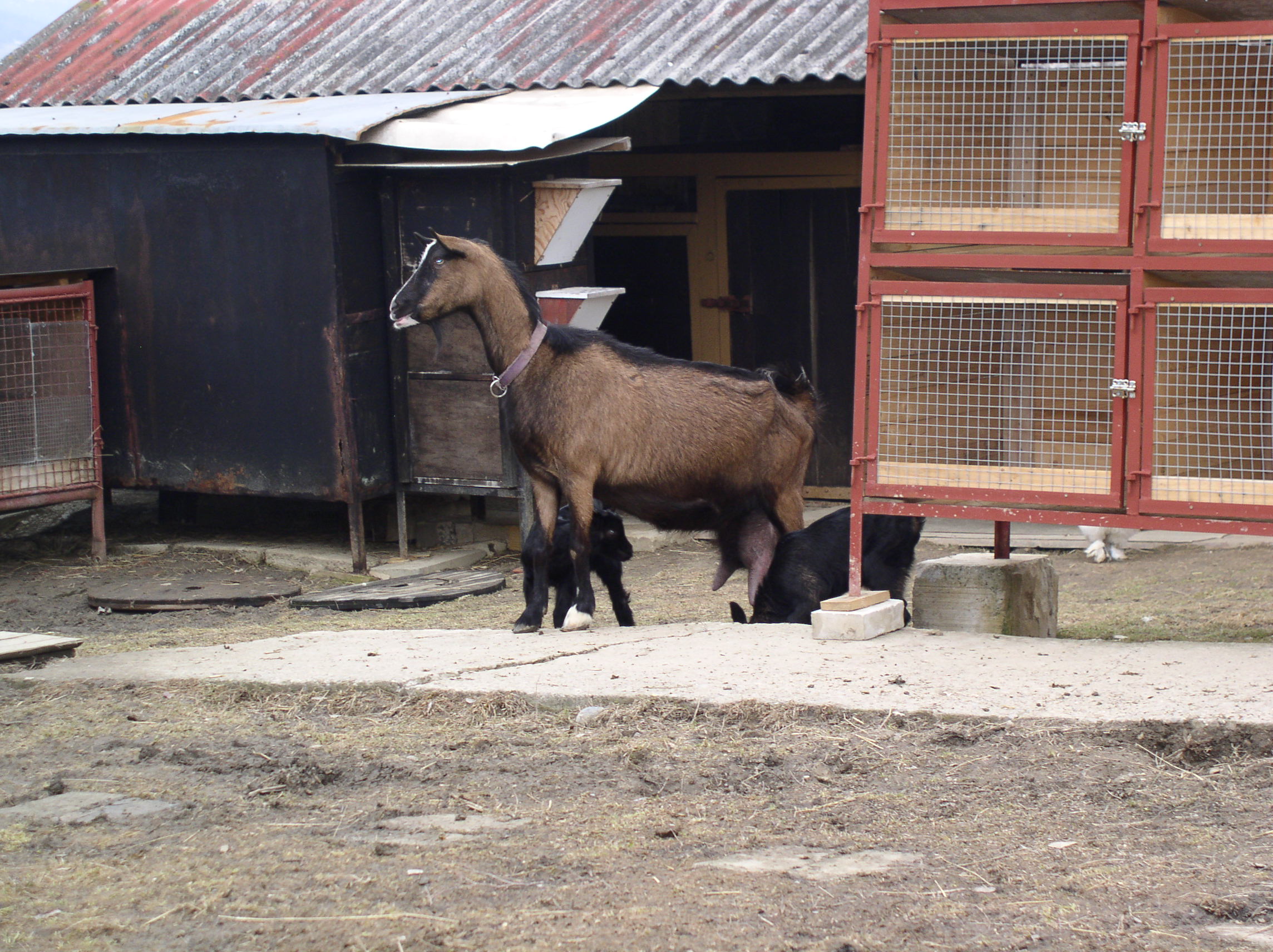 P1010016.JPG