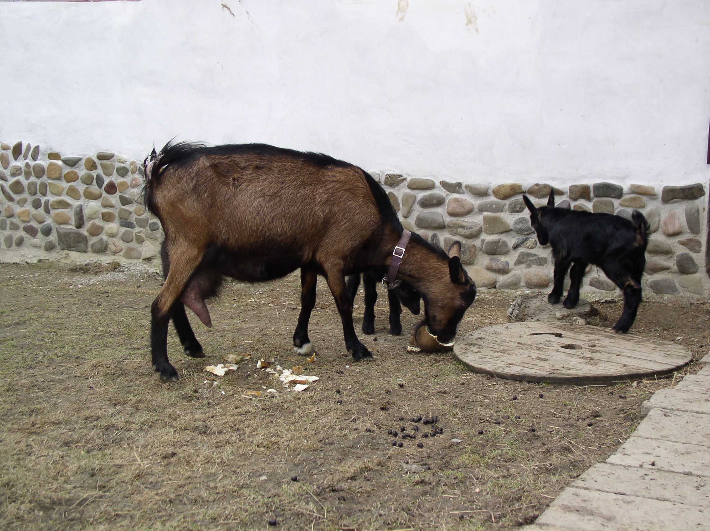 P1010017.JPG