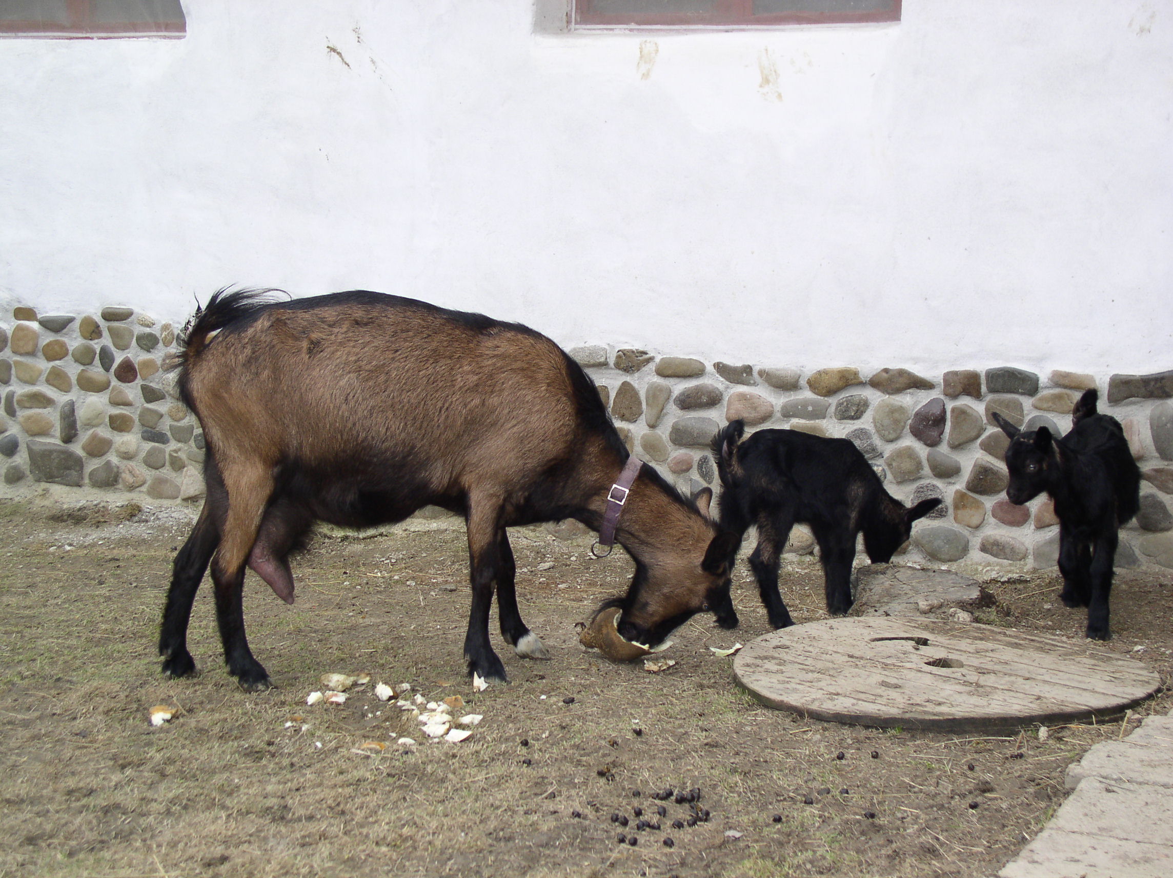 P1010019.JPG