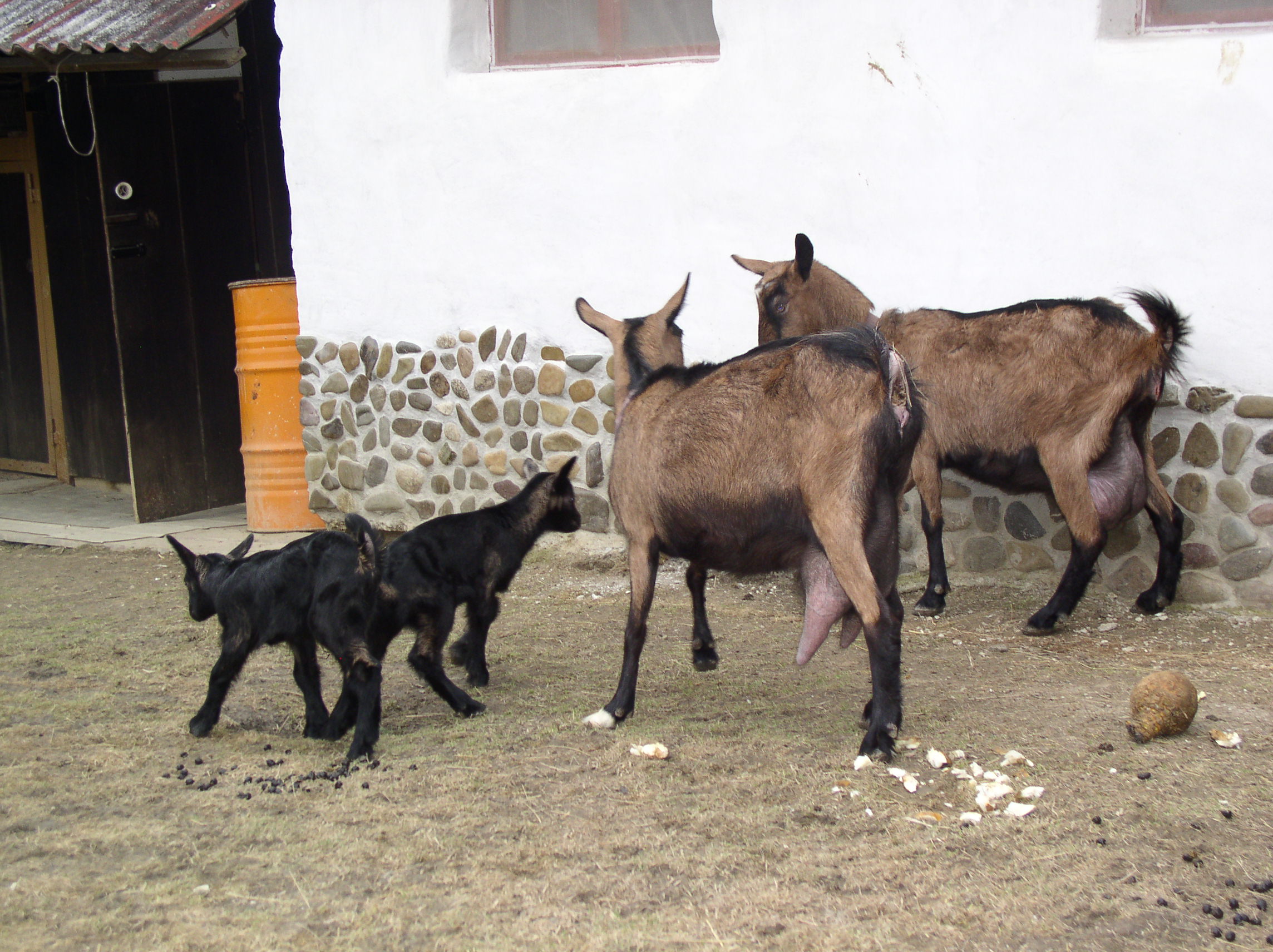 P1010021.JPG