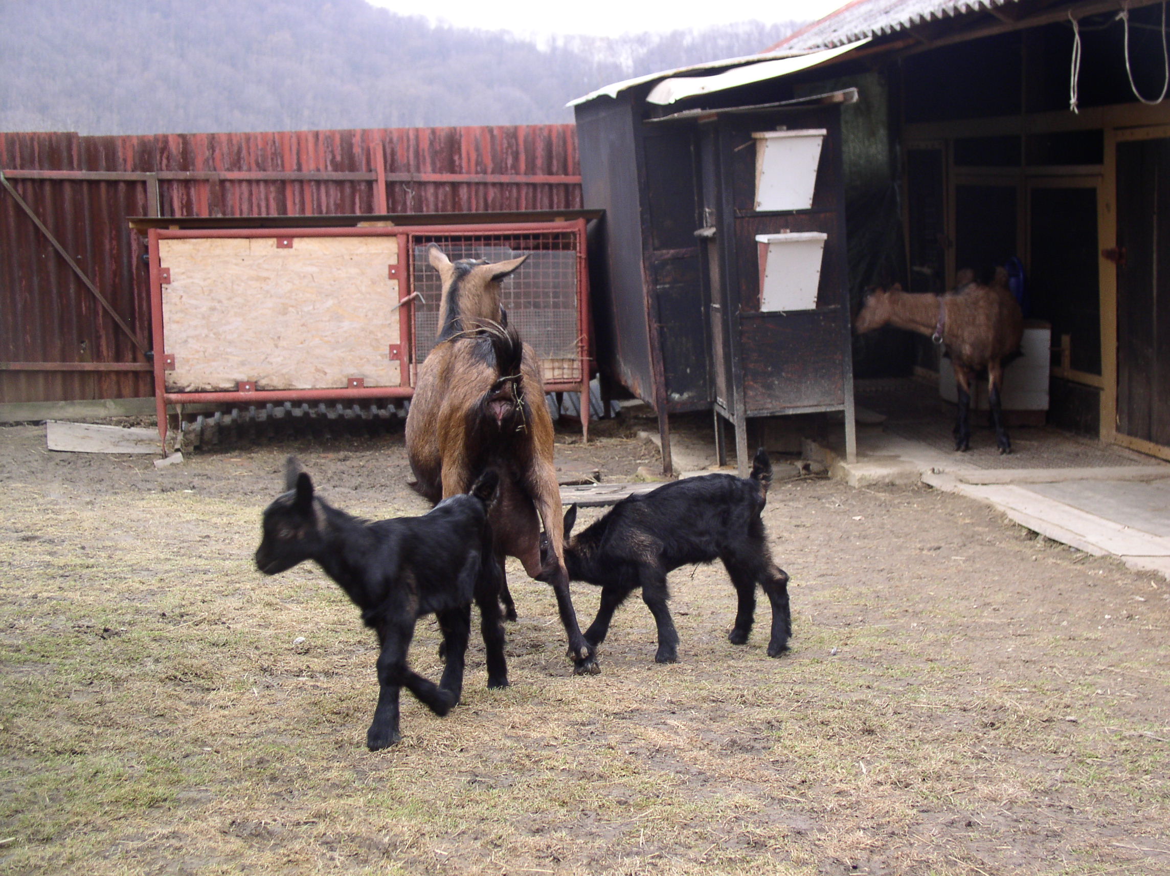 P1010027.JPG