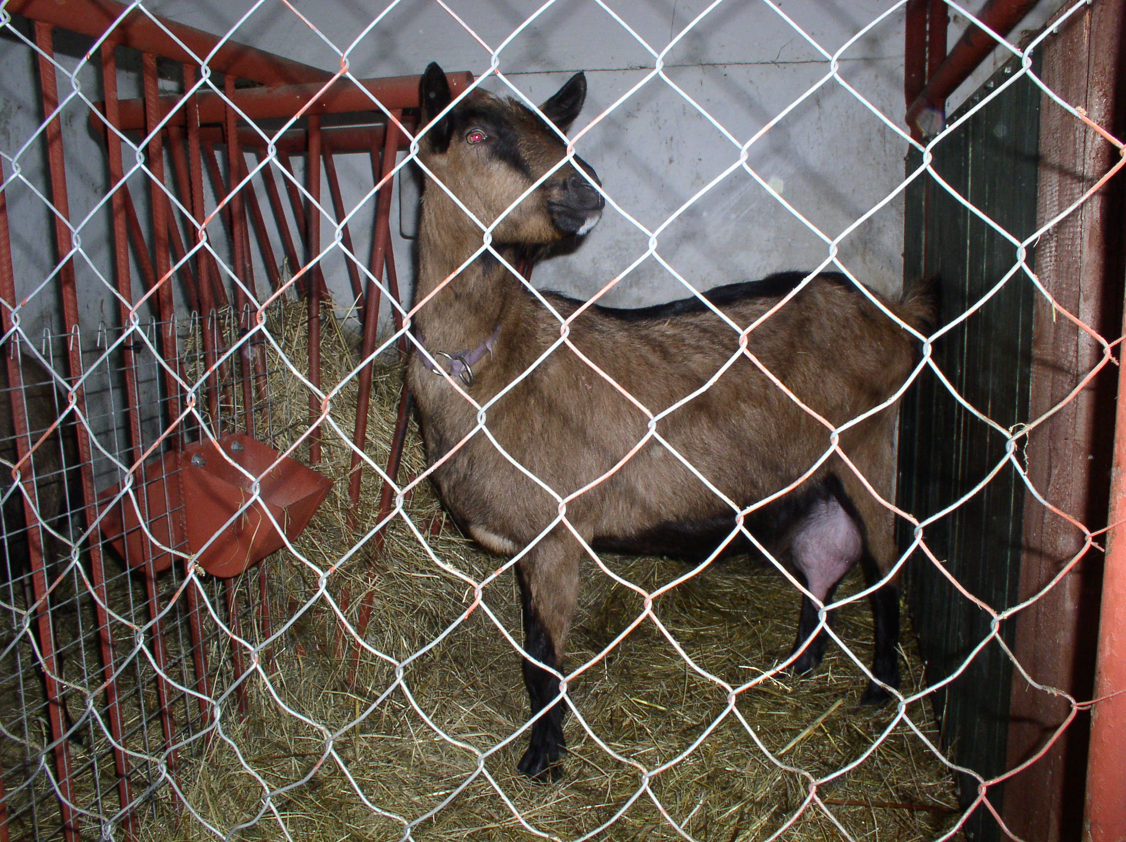 P1010029.JPG