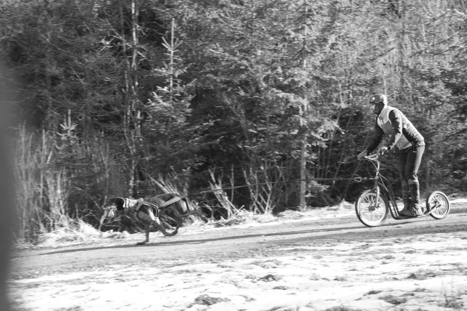 1959588_723023441062871_463560631_n