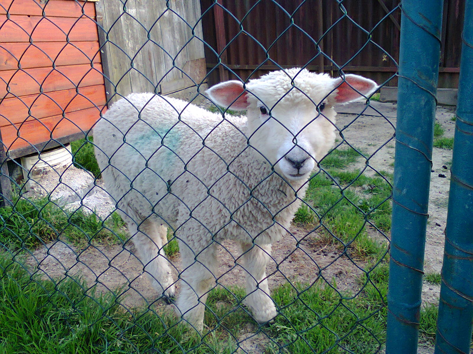 Fotografia0019
