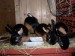 P1010009.JPG