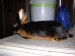 P1010010.JPG