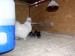 P1010033.JPG